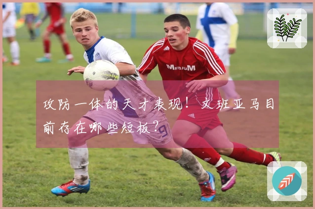 攻防一体的天才表现！文班亚马目前存在哪些短板？