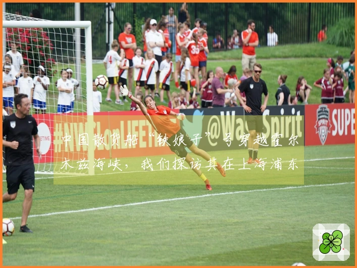 中国散货船“铁娘子”号穿越霍尔木兹海峡，我们探访其在上海浦东的运营单位