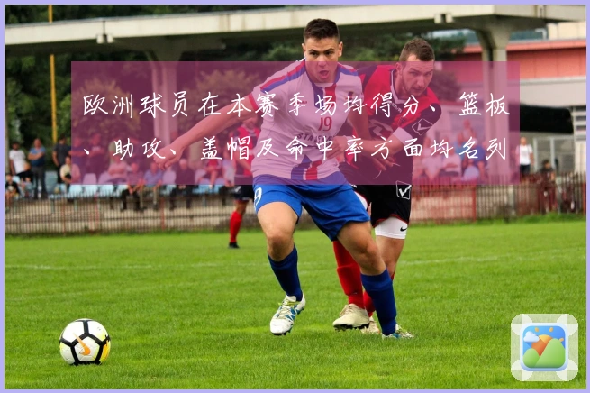 欧洲球员在本赛季场均得分、篮板、助攻、盖帽及命中率方面均名列前茅