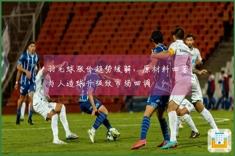 羽毛球涨价趋势缓解，原材料回落与人造球升级致市场回调