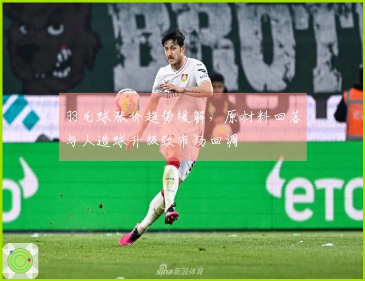 羽毛球涨价趋势缓解，原材料回落与人造球升级致市场回调